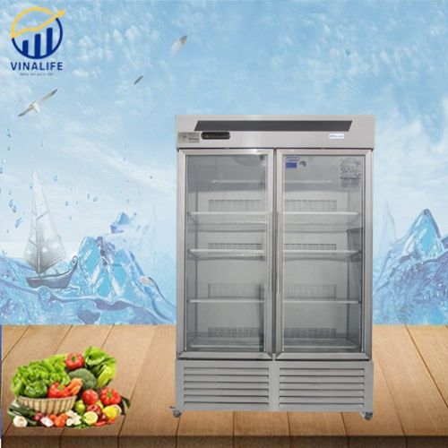 Tủ Mát 2 cánh Quạt Gió Vinalife